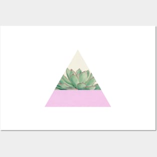 Succulent Dip Posters and Art